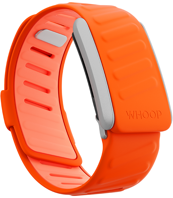 4.0 SportFlex Band | Surge