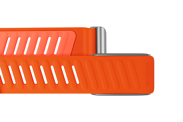 4.0 SportFlex Band | Surge