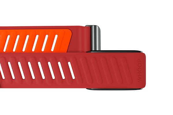 4.0 SportFlex Band | Mirage