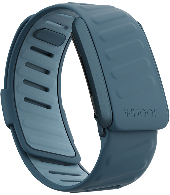 4.0 SportFlex Band | Dash