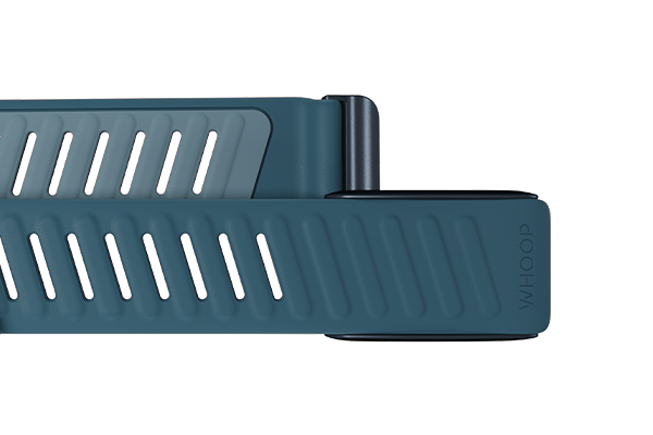 4.0 SportFlex Band | Dash