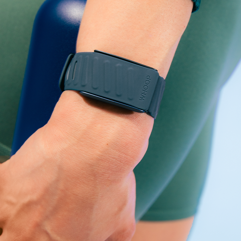 4.0 SportFlex Band | Dash