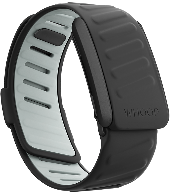 4.0 SportFlex Band | Force