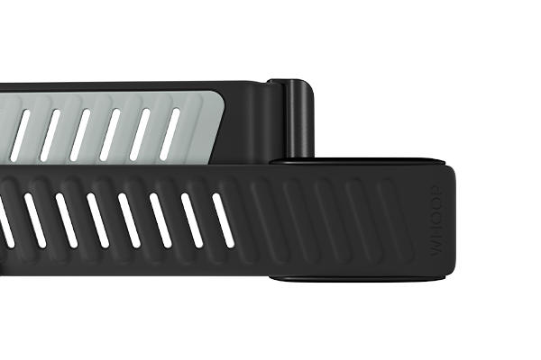 4.0 SportFlex Band | Force