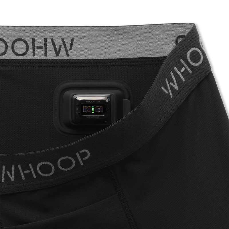 Essential Boxer 2 Pack