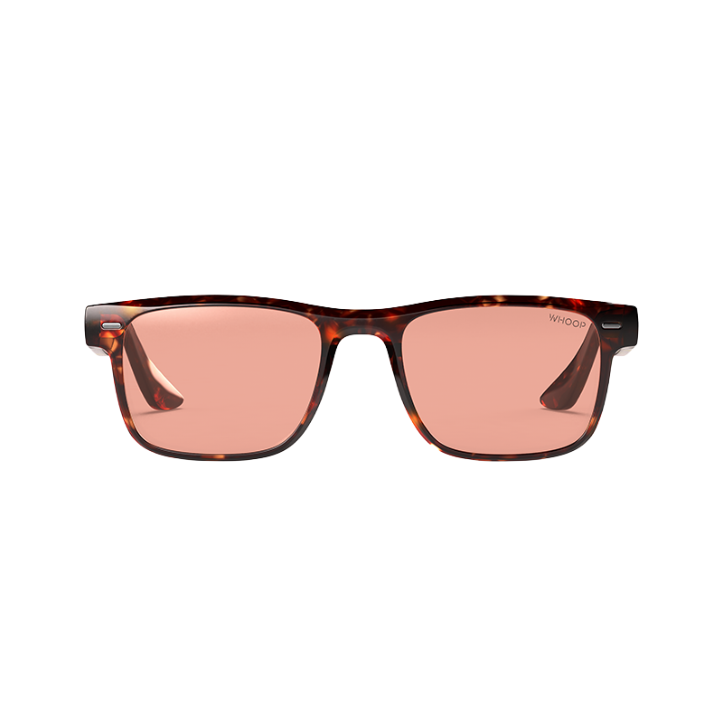 Blue Light Glasses | Remy Tortoise Frames with Evening Lenses