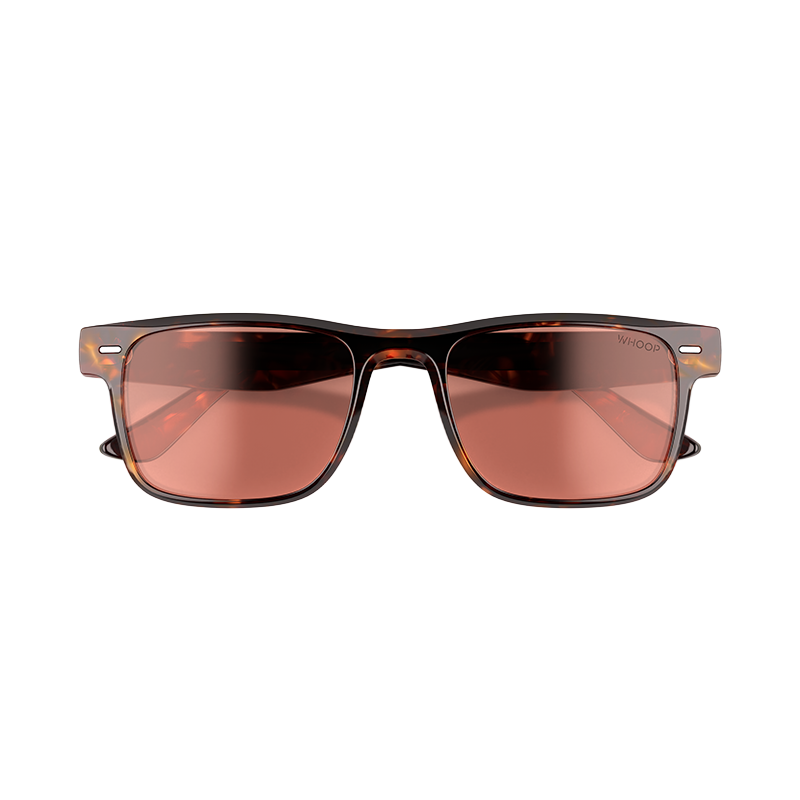 Blue Light Glasses | Remy Tortoise Frames with Evening Lenses