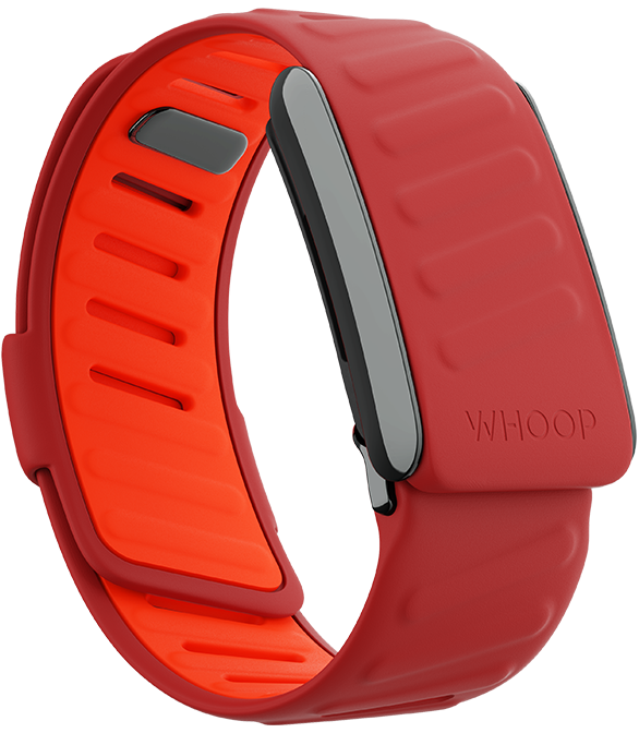 4.0 SportFlex Band | Mirage